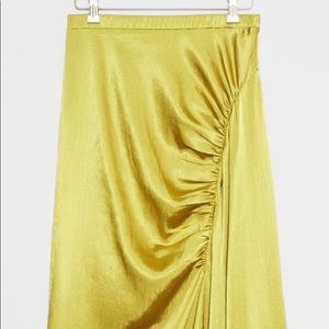 Anthropologie Midi Skirt